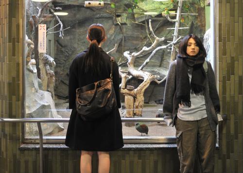 Kakera: A Piece of Our Life (2009) Region Free Bluray