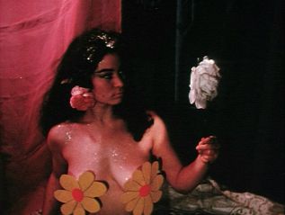 sinsoffleshapoids.jpg