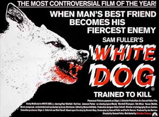 white-dog-uk-quad.jpg